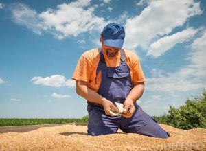 Grain Trade Brokers