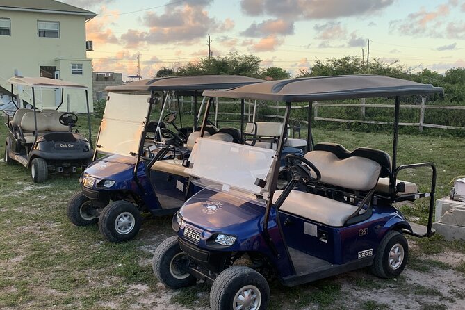 Driving the Greens: Is Renting a Golf Cart the Missing Link to Your Ideal Vacation?